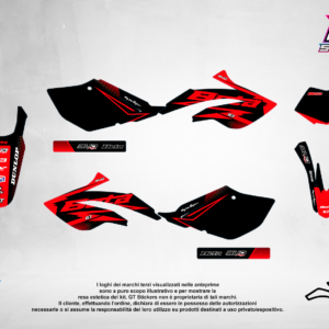 Kit Grafiche Personalizzate BETA RR 50 125 250 450 – Riot – Crystal 0.4 mm